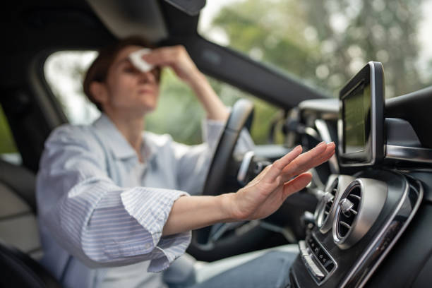 Best Thermostats and Smart Controls in Livingston, AL