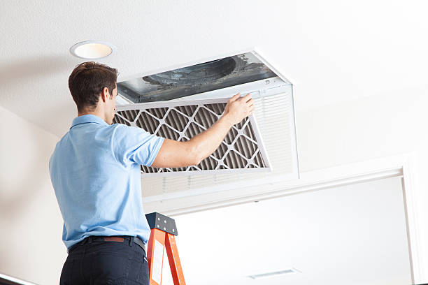 Best Solar-powered HVAC Systems in Livingston, AL